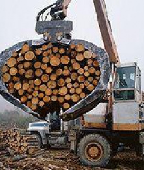 Павловский Паркет