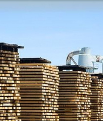 Павловский Паркет