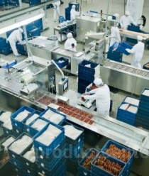 Российские мясопродукты