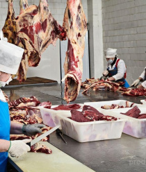 Каменский райпищекомбинат