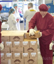 Ивановский комбинат детского питания