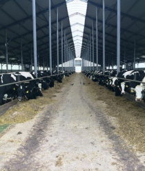 Вурнарский мясокомбинат