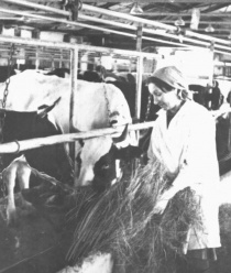 АПК Шатурский