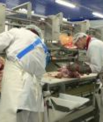 Кудряшовский мясокомбинат