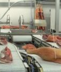 Кудряшовский мясокомбинат