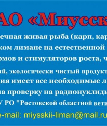 Миусский лиман