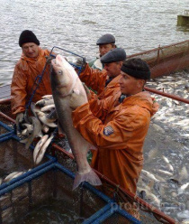 Миусский лиман