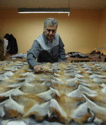 Меховая фабрика Дионис