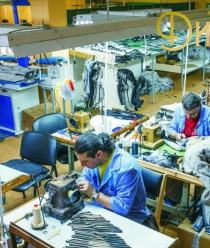 Меховая фабрика Дионис