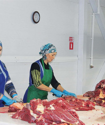 Халяль-Алькино