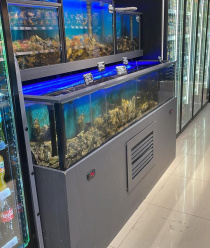 Аквадон Эко