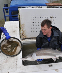 ОнегоКомпозит