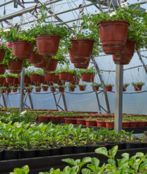 Гарден Ритейл Сервис