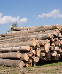 Док Советский