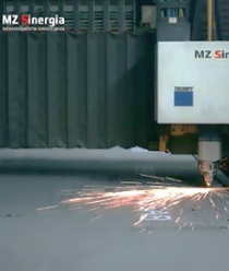 МЗ Синергия