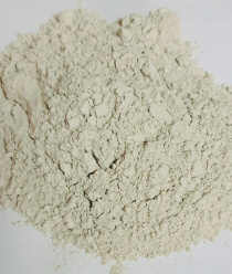 Инзенский диатомовый комбинат