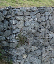 Геодорстрой