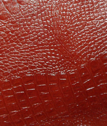 Санкт-Петербургский кожевенный завод Кожа