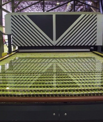 Глобал Гласс