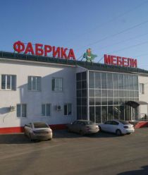 Зеленый попугай