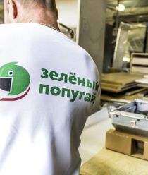 Зеленый попугай
