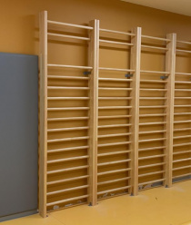 ЗСО Динамика