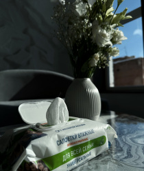 Эко-Мегаполис