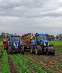 СПК Пригородный