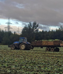 СПК Пригородный