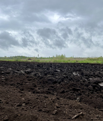 Плодородие