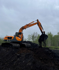 Плодородие