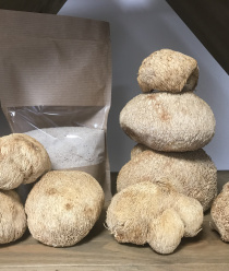 Ростгрибторг