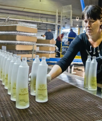 Скопинский-ИталДекор