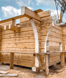 Амбер Форест