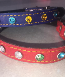 Алтайский ошейник