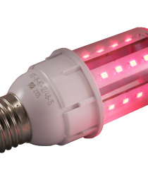 Протон-Импульс