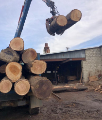 Фабрика Дуба