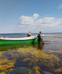 ОнегоКомпозит