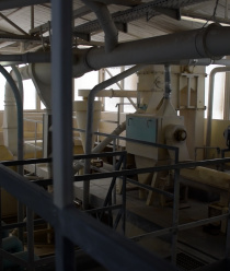 Вятская рожь