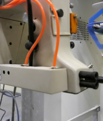 Вятская рожь