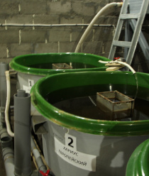 ОнегоКомпозит