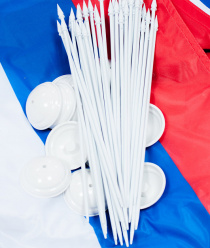 Геральдика