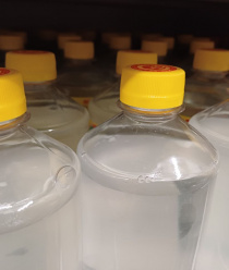 ЕЗХП Химзавод