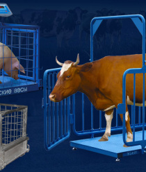 Невские весы