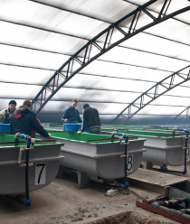 ОнегоКомпозит