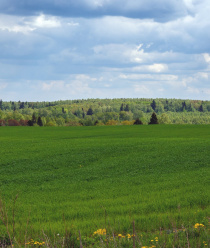 Открытая дистрибьюторская компания
