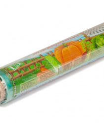 Европак-Трейд