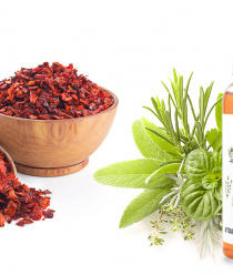 Джи Джи Эф Групп