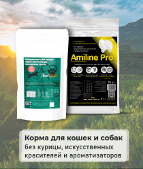 Компания Амиго