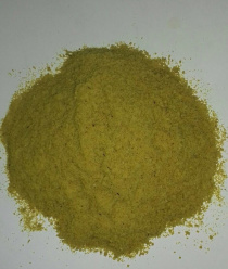 Славянский союз